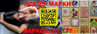spice Сланцы