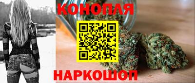 Альфа ПВП Славянск-на-Кубани