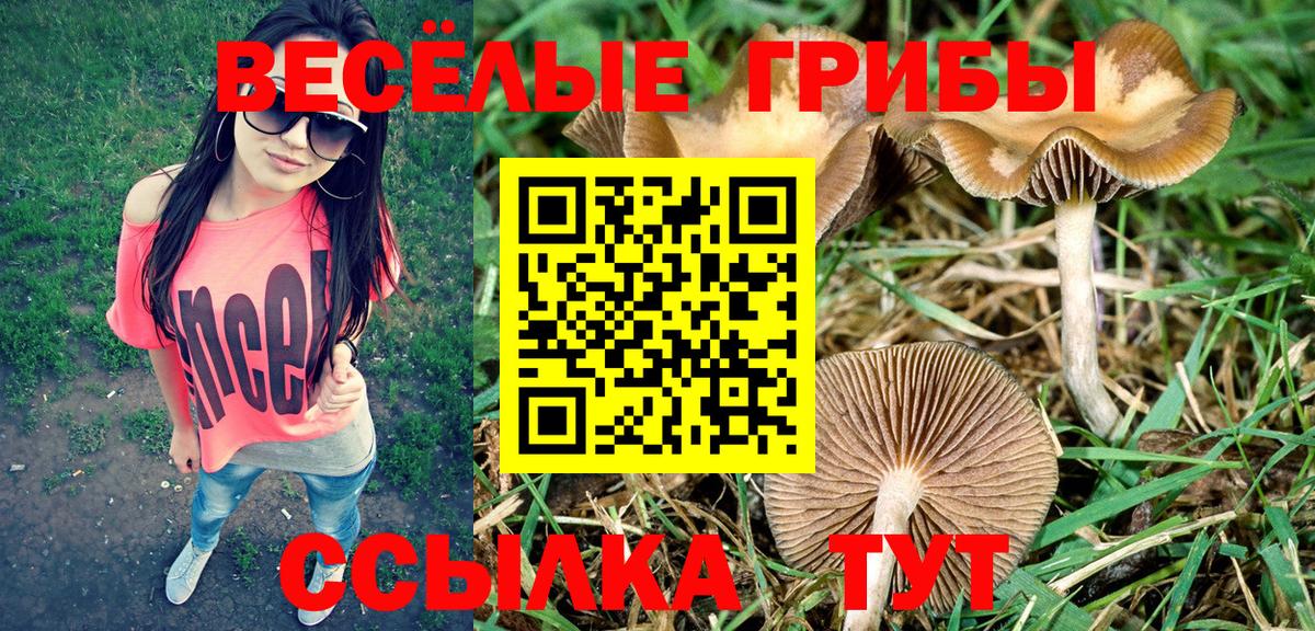 Псилоцибиновые грибы Cubensis  Галлюциногенные грибы мицелий  Вход с VPN  Октябрьский 
